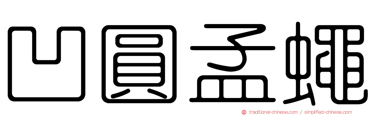凹圓孟蠅