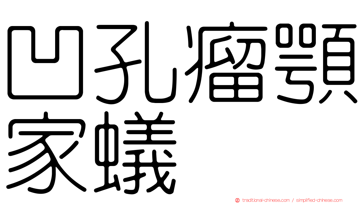 凹孔瘤顎家蟻