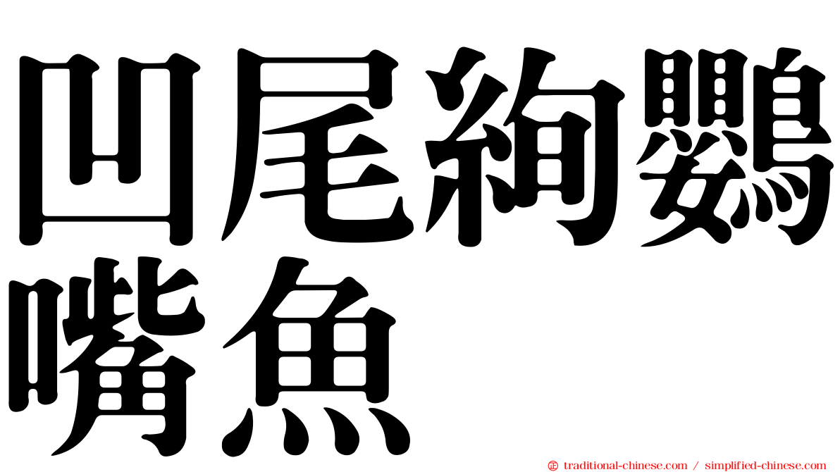 凹尾絢鸚嘴魚