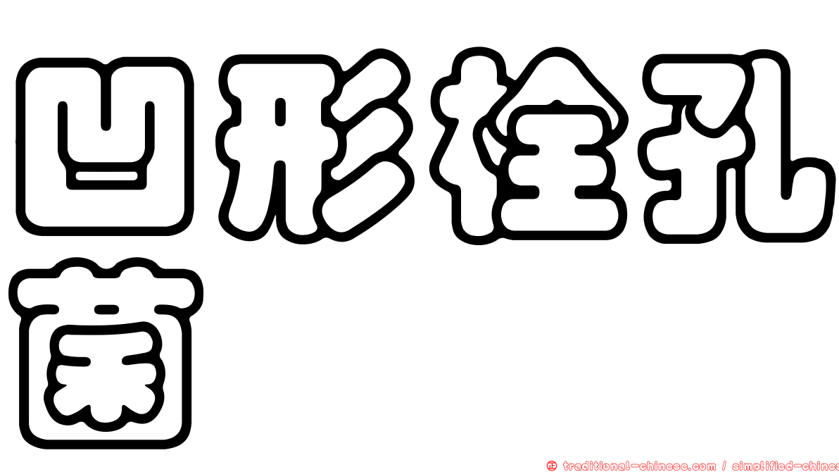 凹形栓孔菌