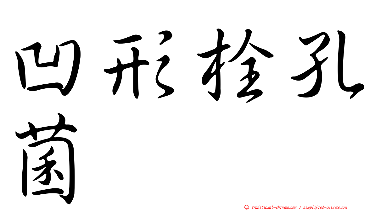 凹形栓孔菌