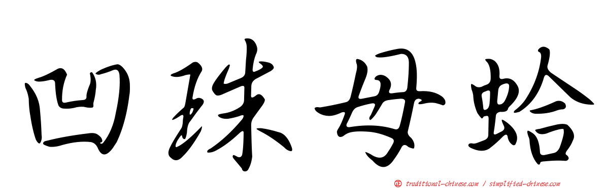 凹珠母蛤