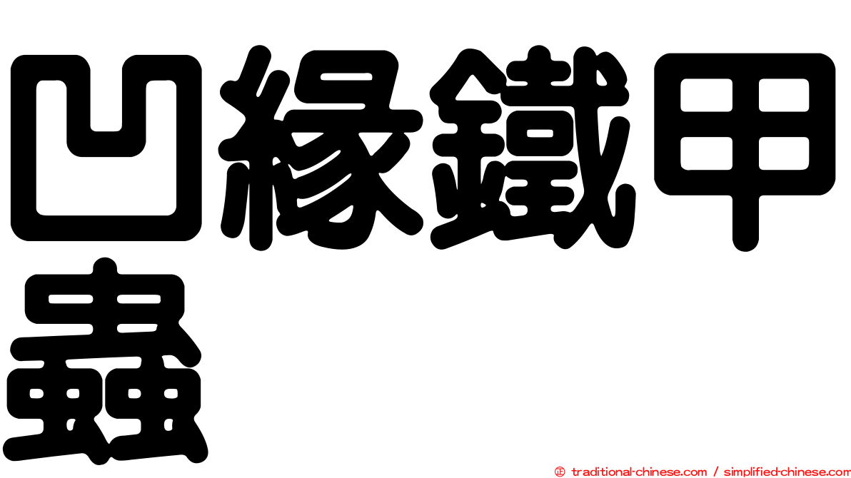 凹緣鐵甲蟲