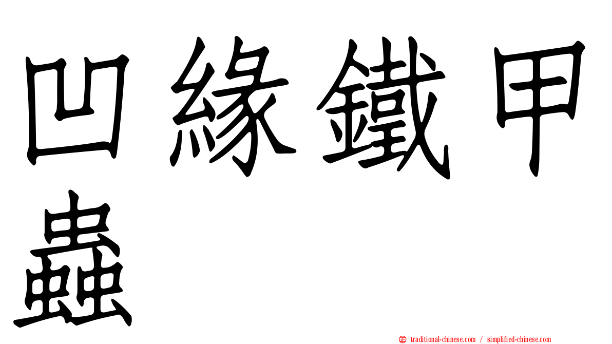 凹緣鐵甲蟲