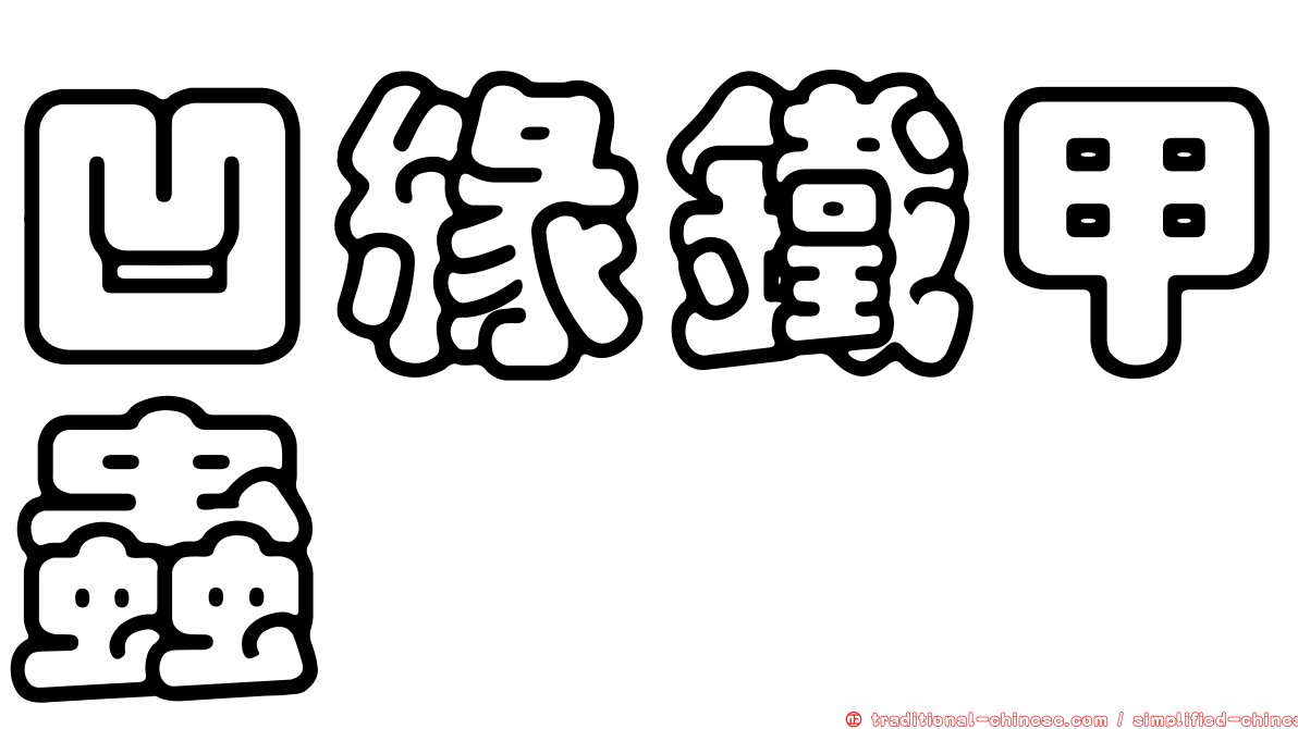 凹緣鐵甲蟲