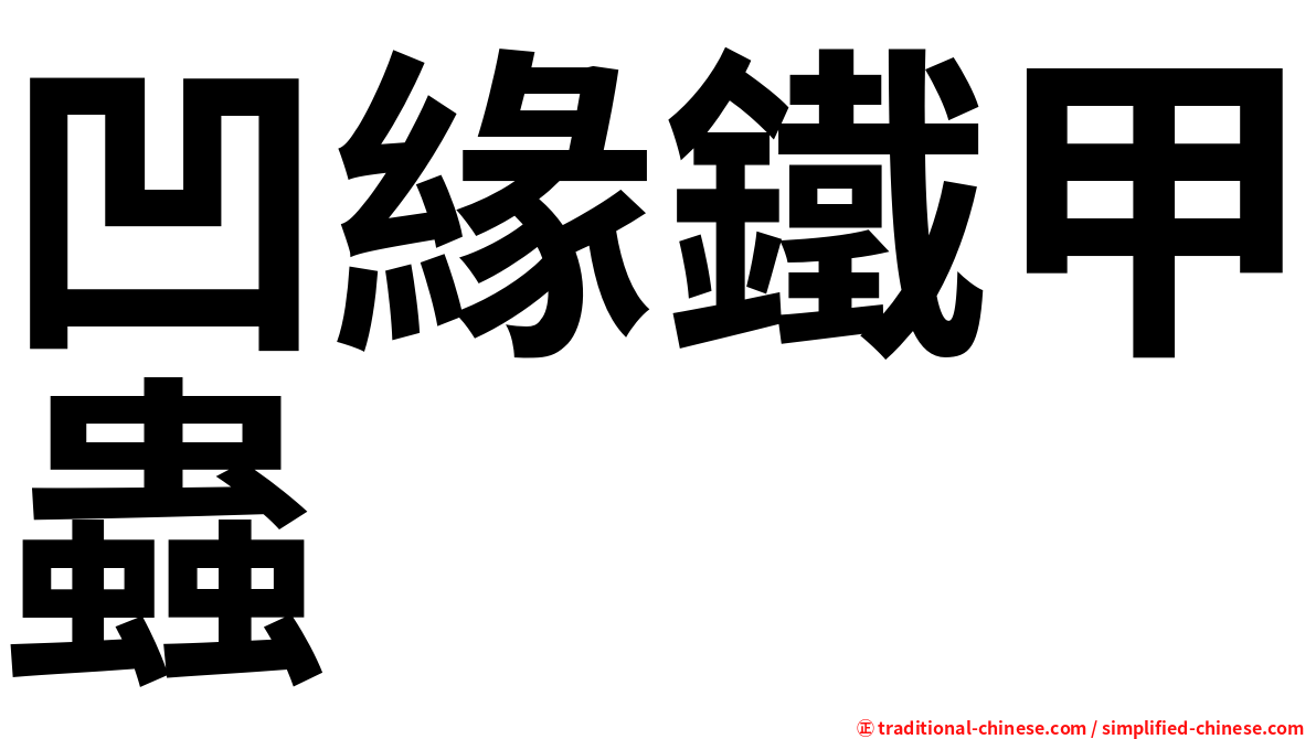 凹緣鐵甲蟲