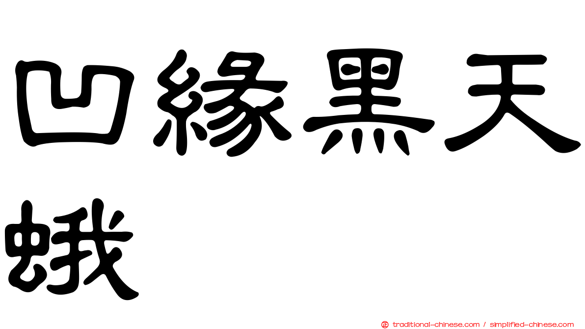 凹緣黑天蛾