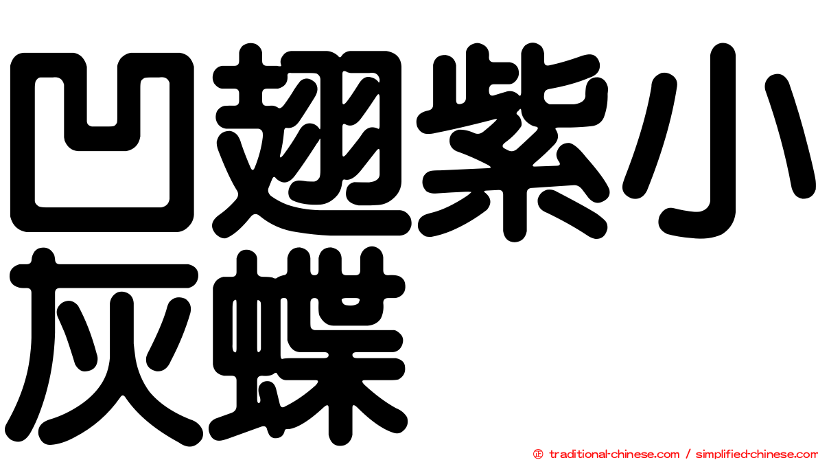 凹翅紫小灰蝶