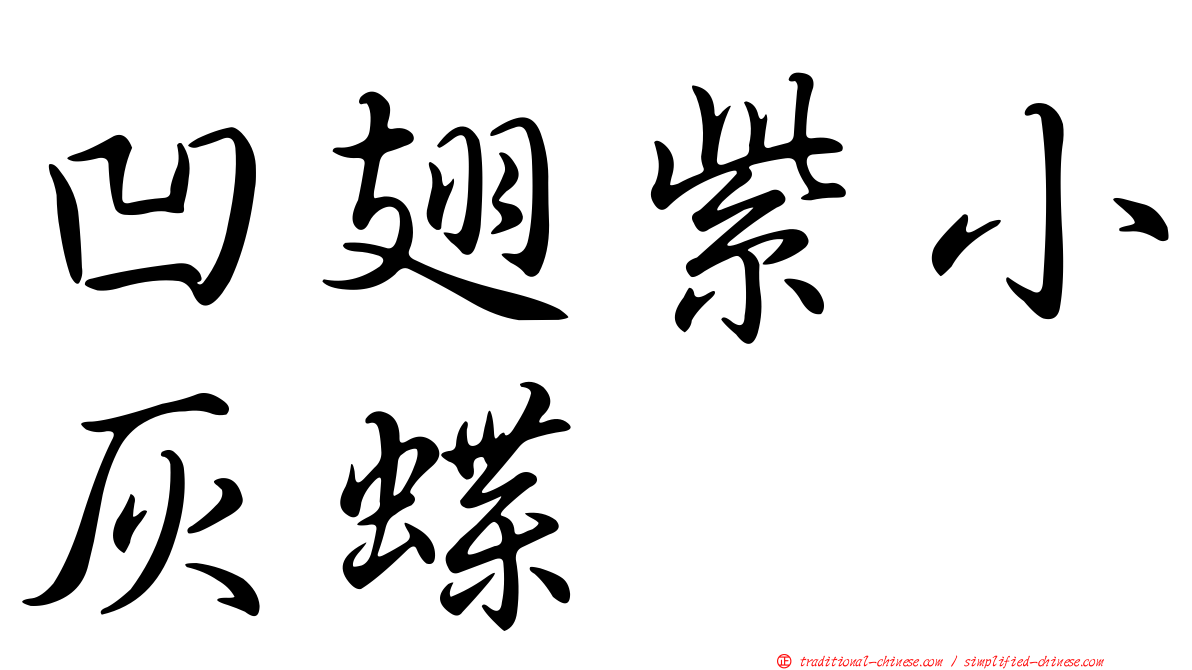 凹翅紫小灰蝶