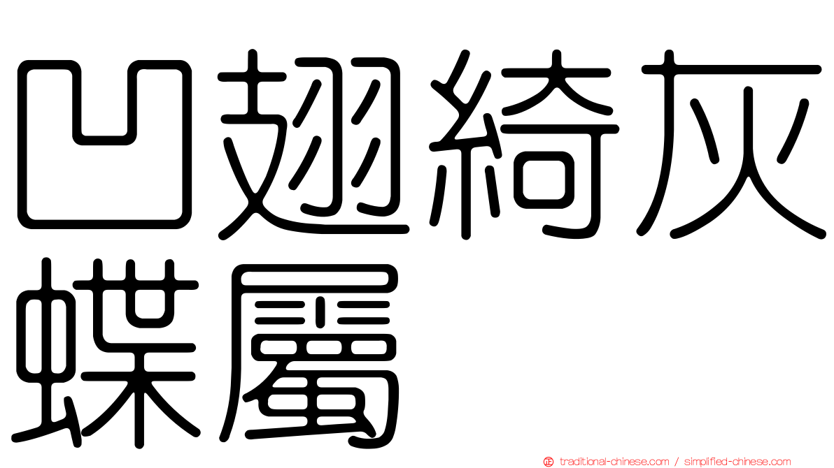 凹翅綺灰蝶屬