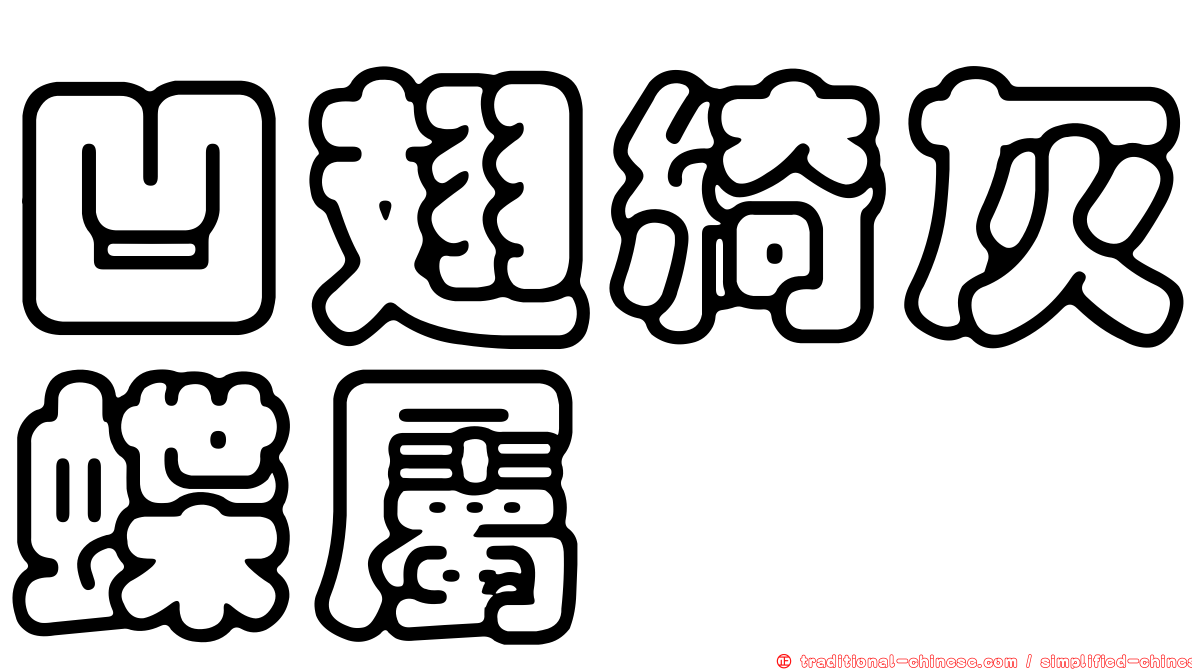 凹翅綺灰蝶屬