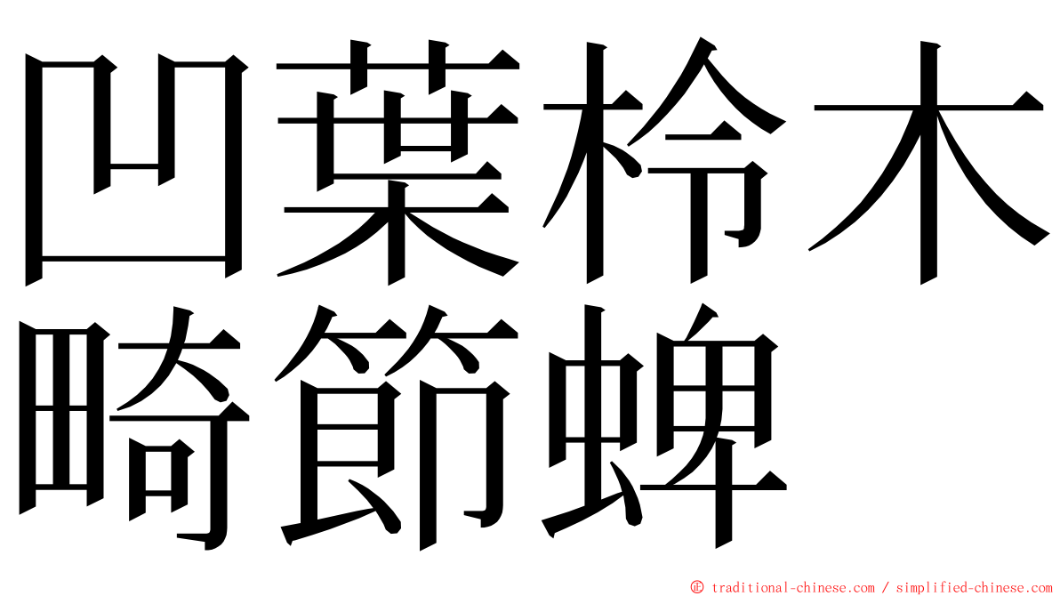 凹葉柃木畸節蜱 ming font