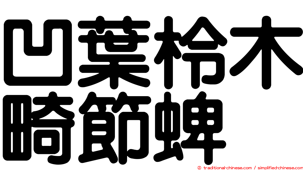 凹葉柃木畸節蜱