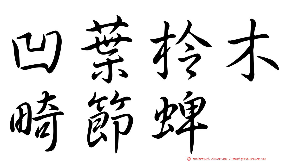凹葉柃木畸節蜱