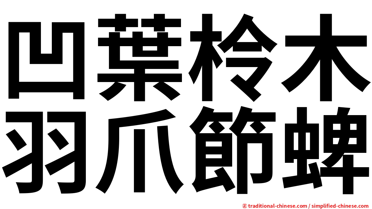 凹葉柃木羽爪節蜱