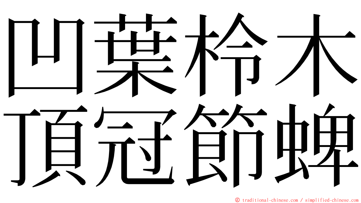 凹葉柃木頂冠節蜱 ming font