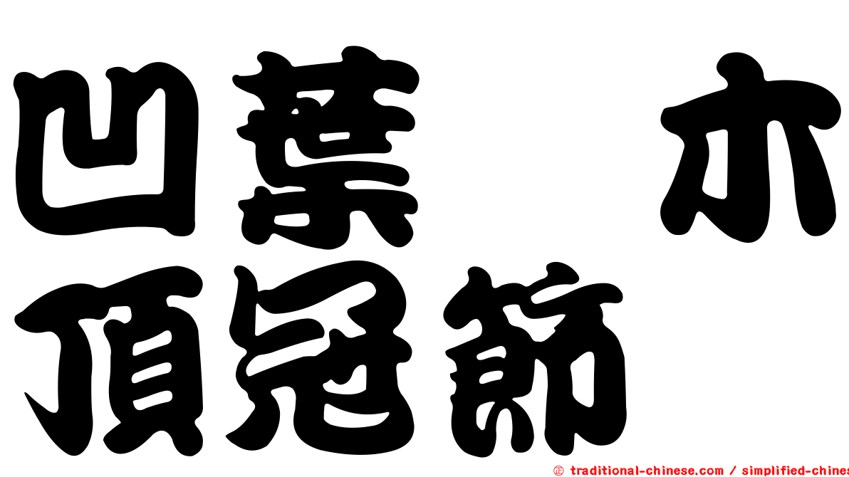 凹葉柃木頂冠節蜱