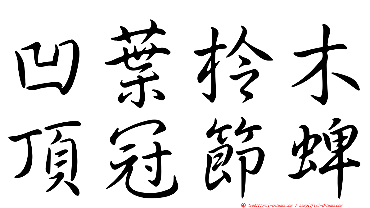 凹葉柃木頂冠節蜱