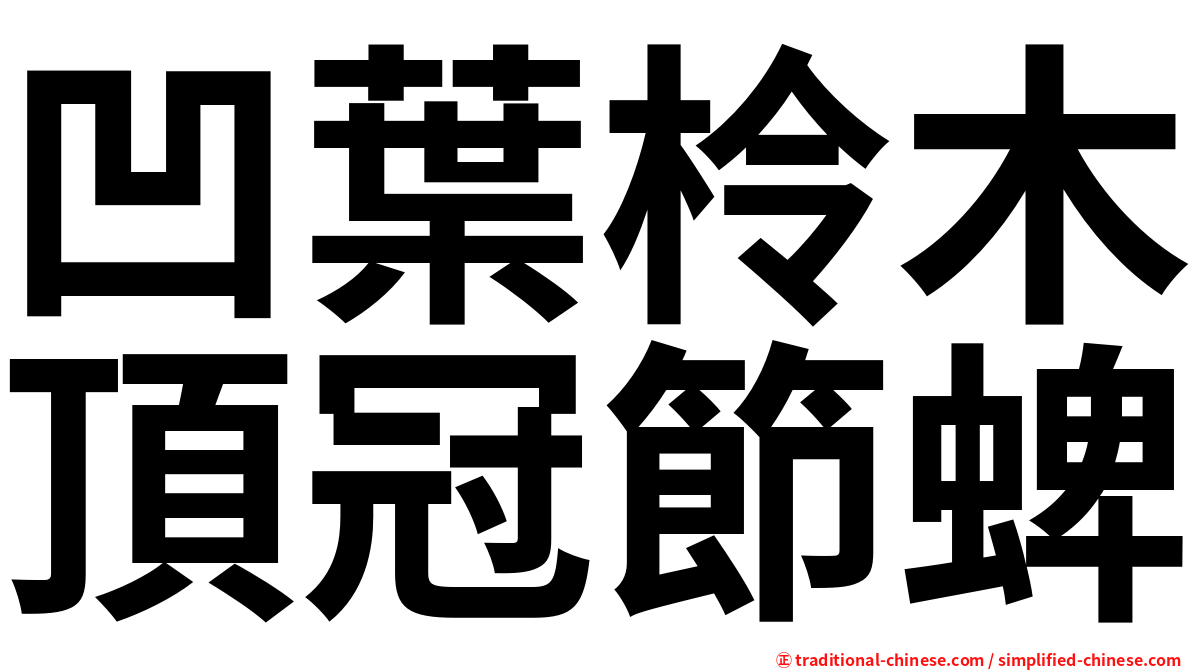 凹葉柃木頂冠節蜱