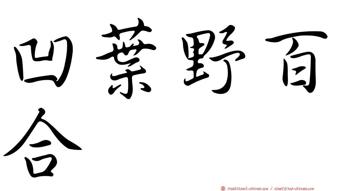 凹葉野百合