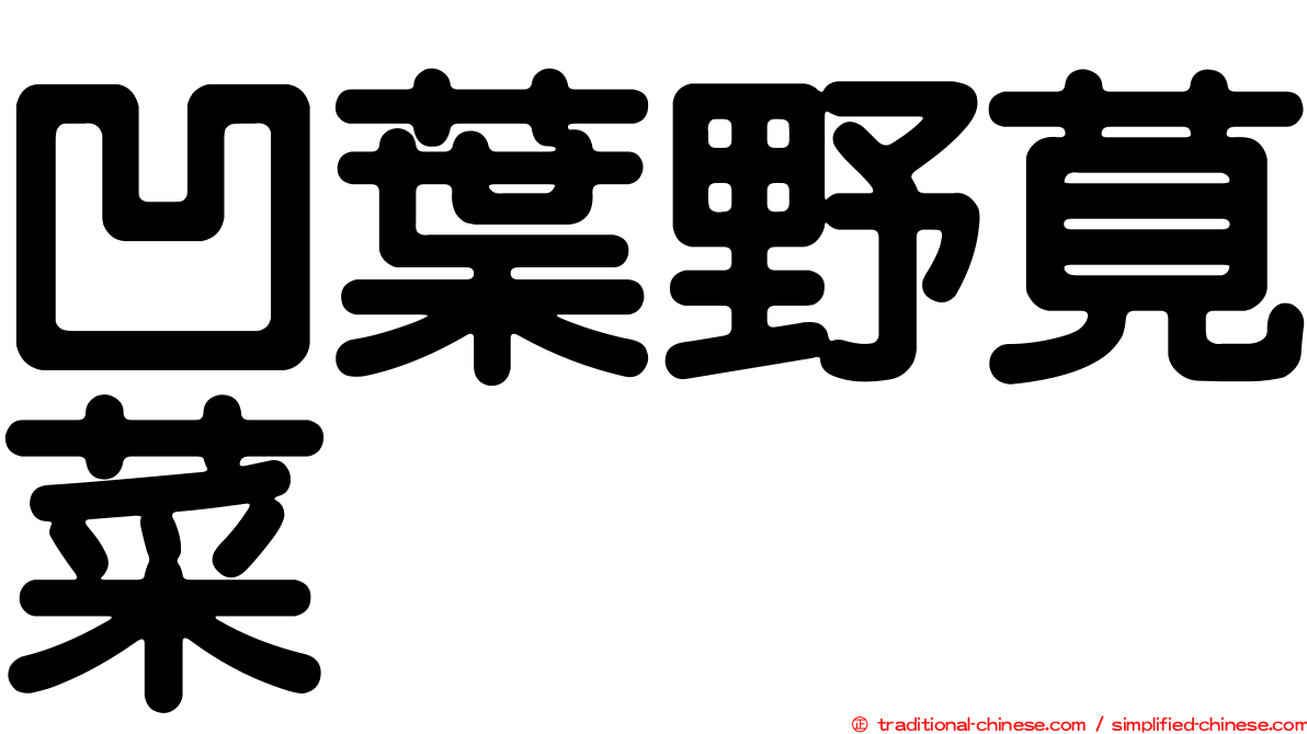 凹葉野莧菜