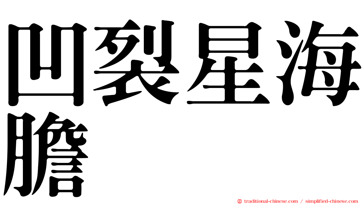 凹裂星海膽