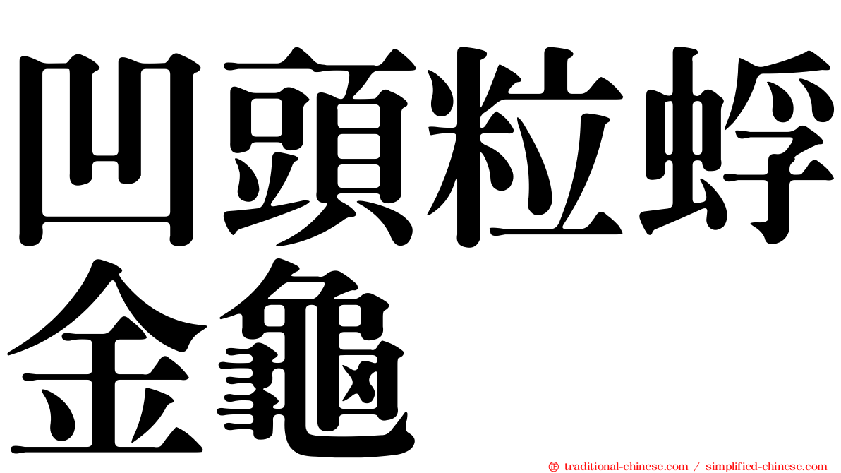 凹頭粒蜉金龜