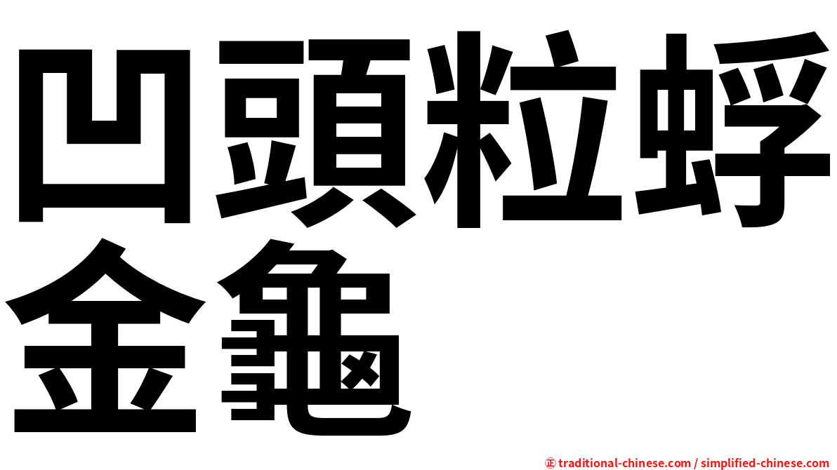 凹頭粒蜉金龜