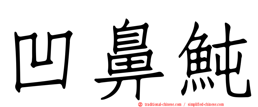 凹鼻魨