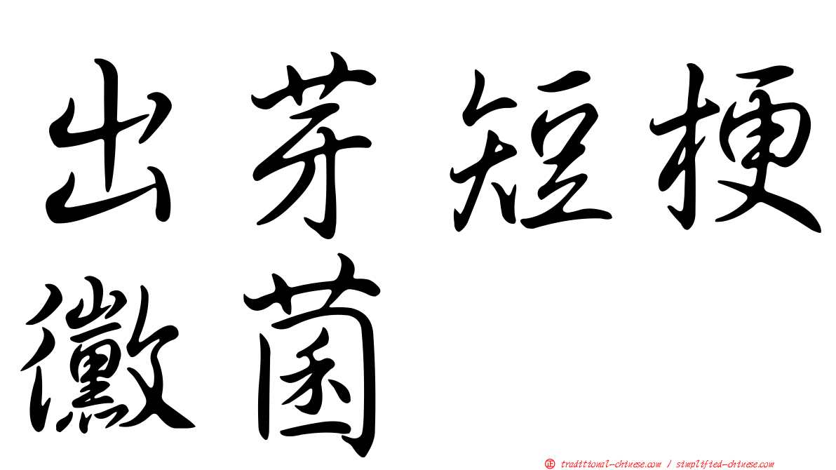 出芽短梗黴菌
