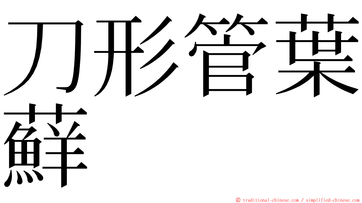 刀形管葉蘚 ming font