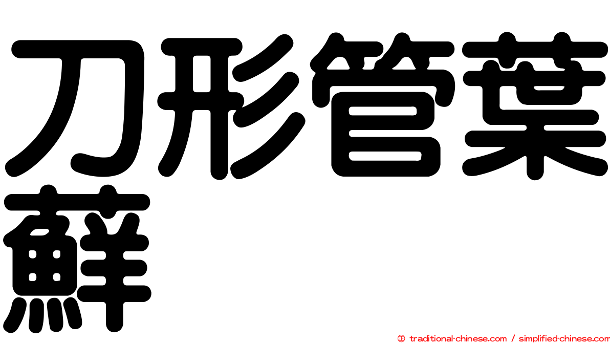 刀形管葉蘚