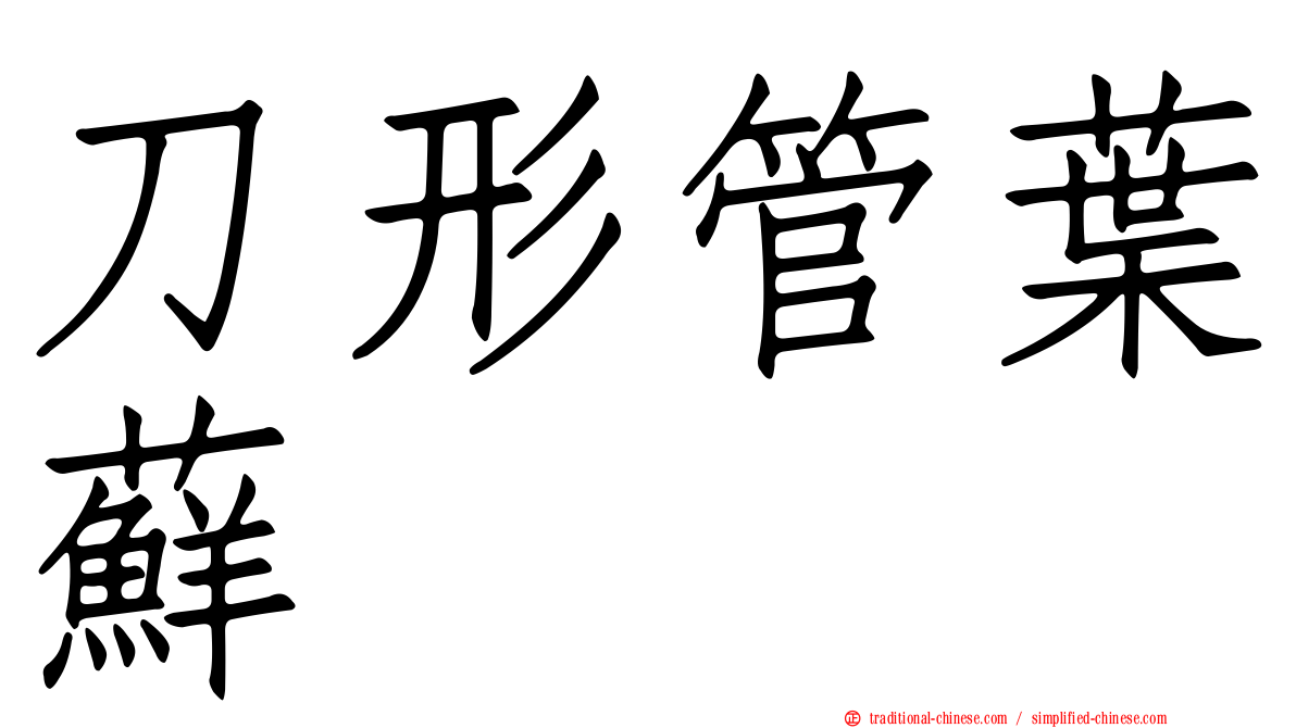 刀形管葉蘚