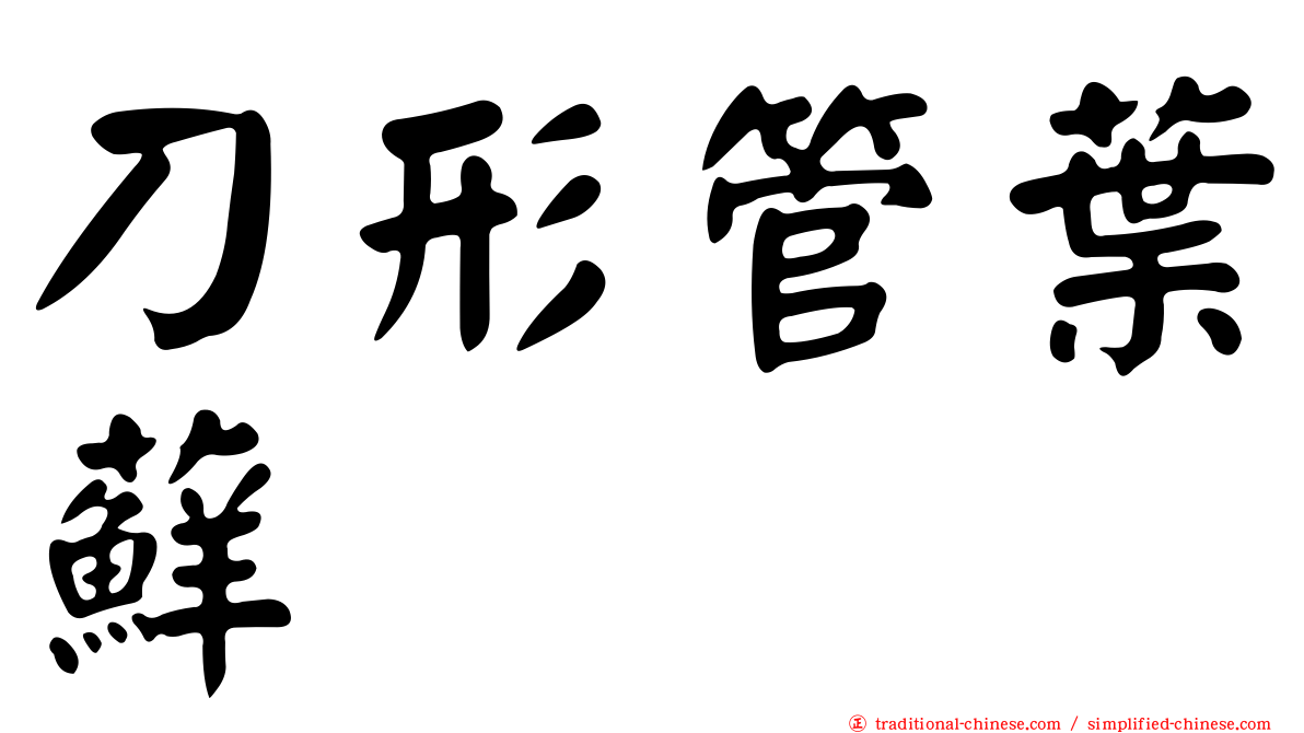 刀形管葉蘚