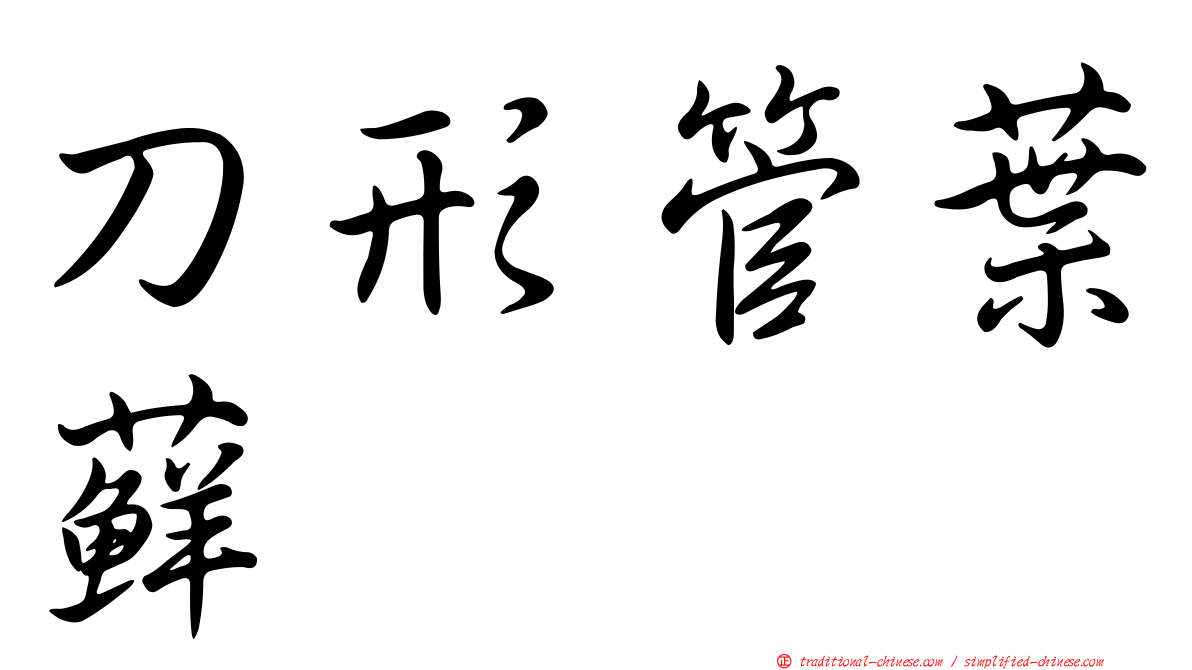 刀形管葉蘚