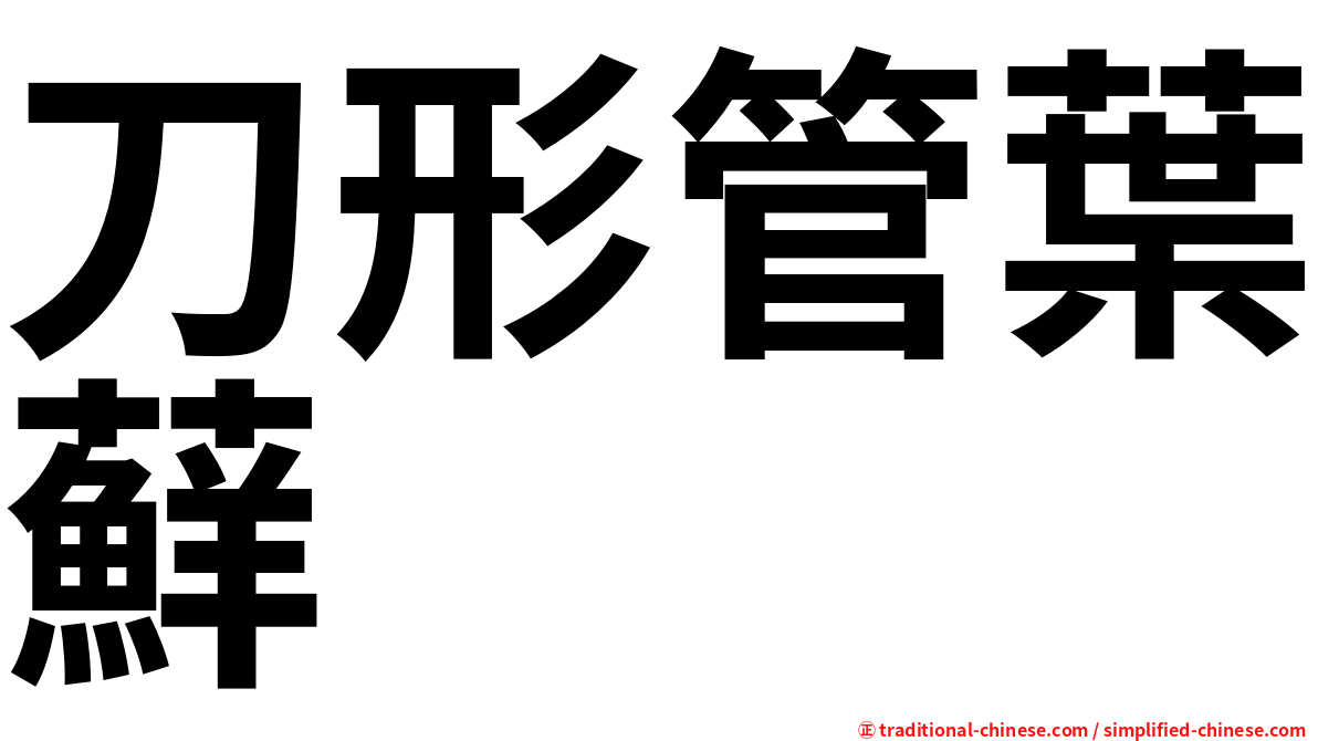 刀形管葉蘚