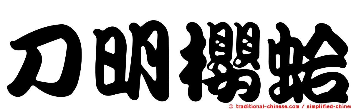 刀明櫻蛤