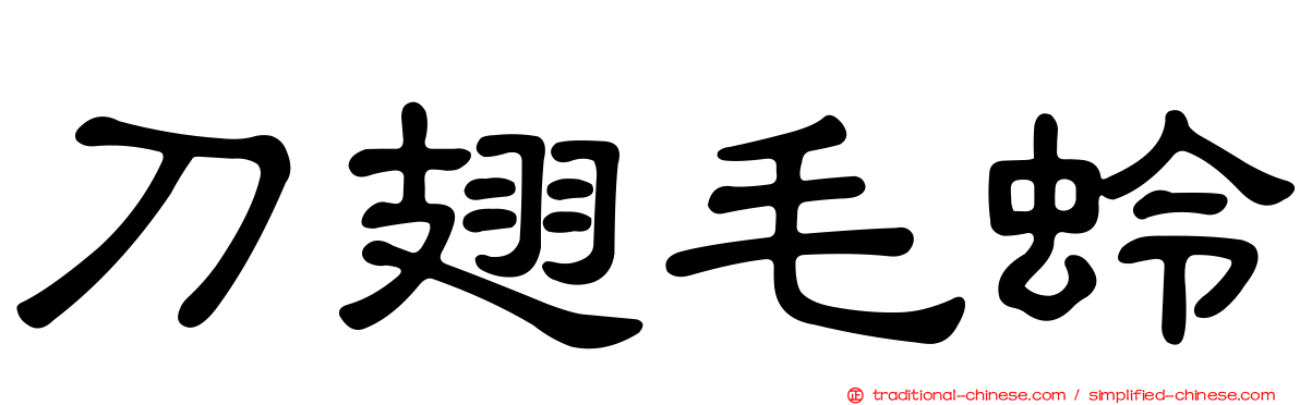 刀翅毛蛉