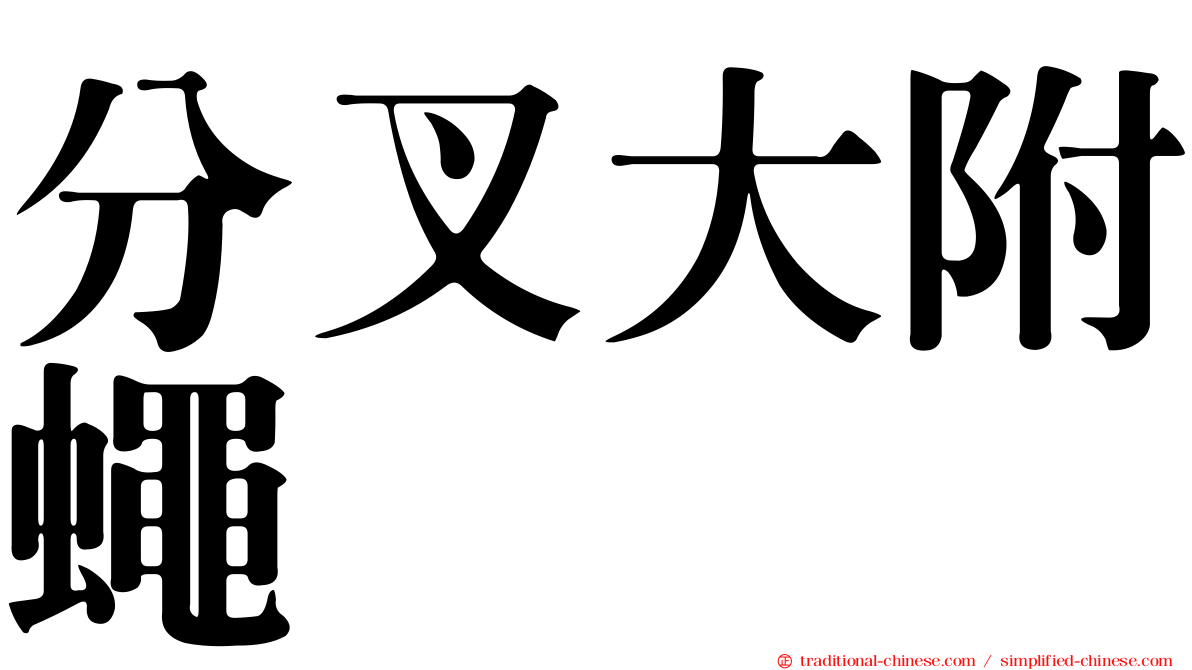分叉大附蠅