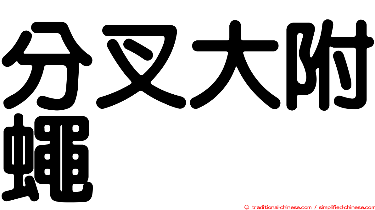 分叉大附蠅