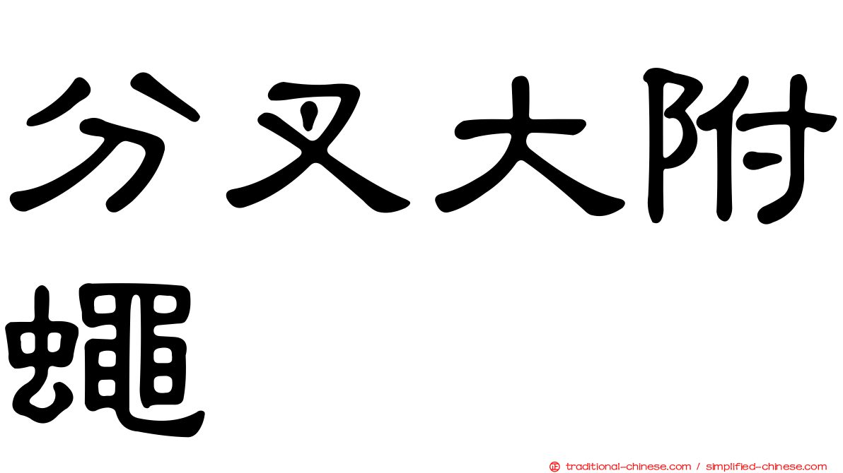 分叉大附蠅