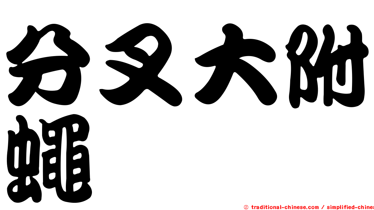分叉大附蠅