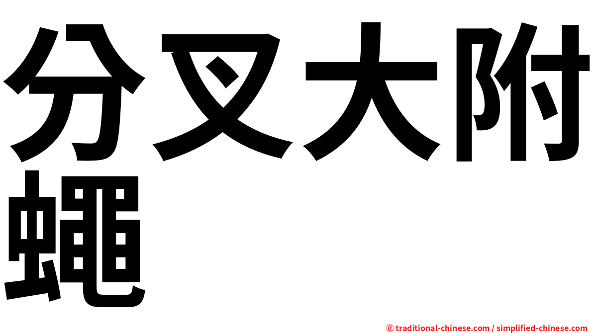 分叉大附蠅