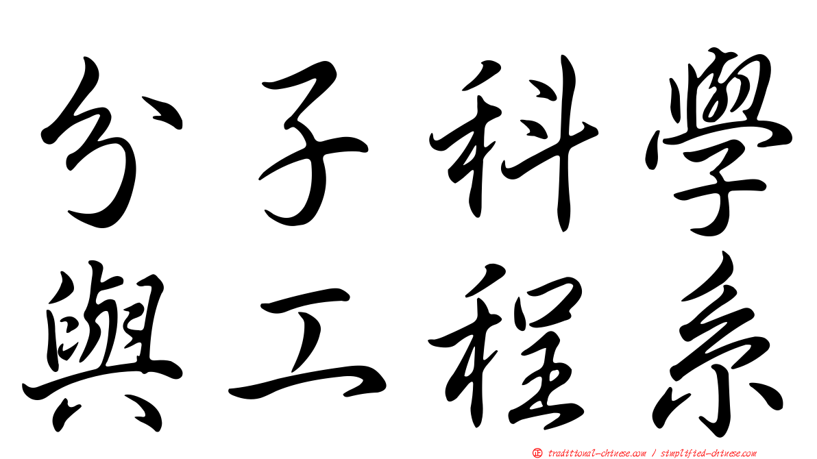 分子科學與工程系