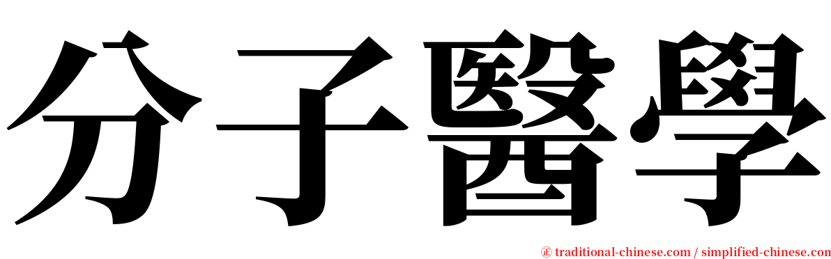 分子醫學 serif font