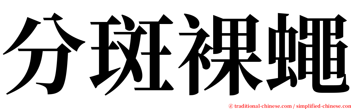 分斑裸蠅 serif font