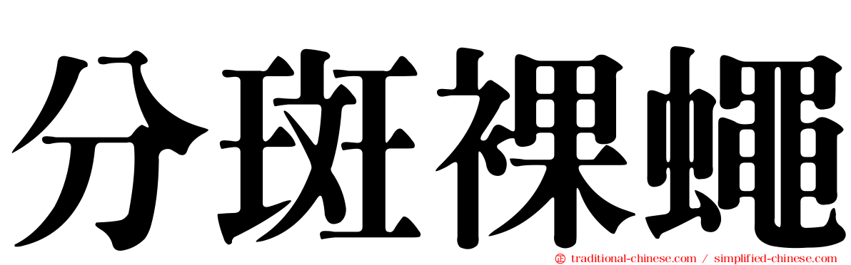 分斑裸蠅