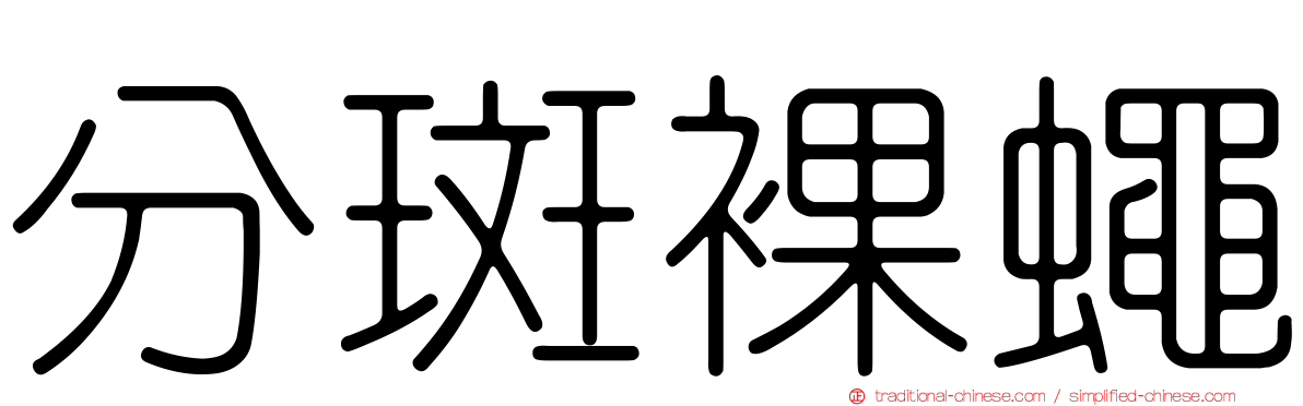 分斑裸蠅