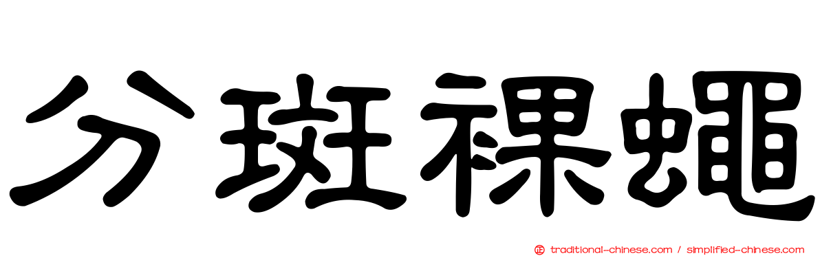 分斑裸蠅