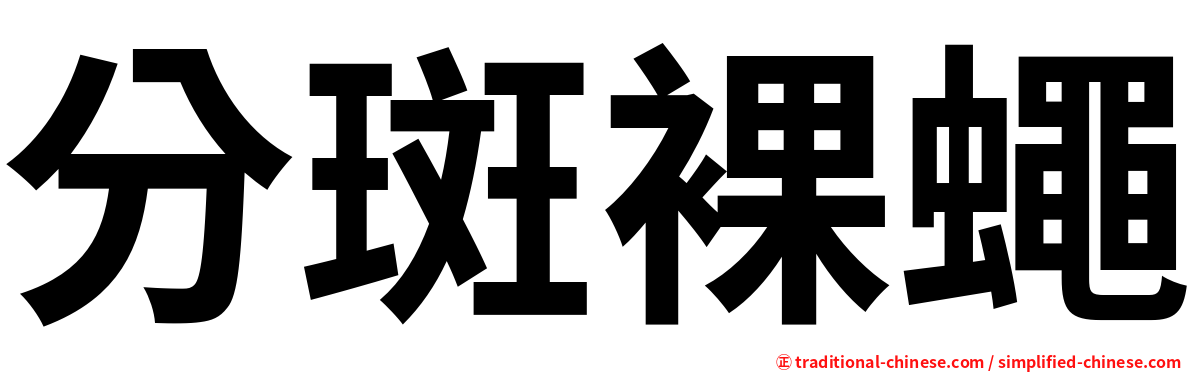 分斑裸蠅